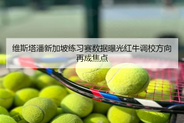 维斯塔潘新加坡练习赛数据曝光红牛调校方向再成焦点