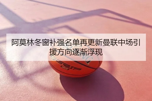 阿莫林冬窗补强名单再更新曼联中场引援方向逐渐浮现